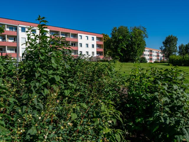 Lägenhet hyra i Motala, Östergötland