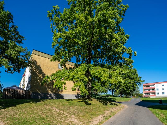 Lägenhet hyra i Motala, Östergötland