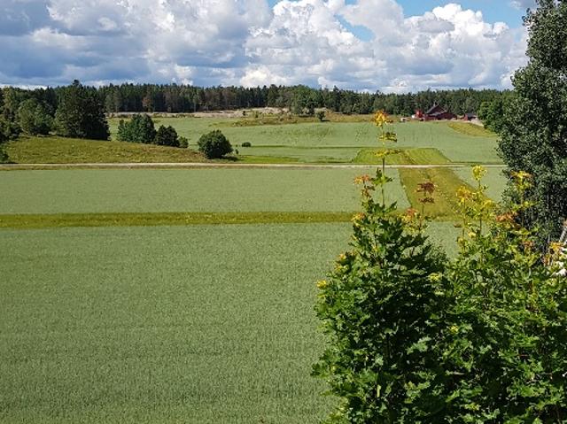 Lägenhet hyra i Nyköping, Södermanland