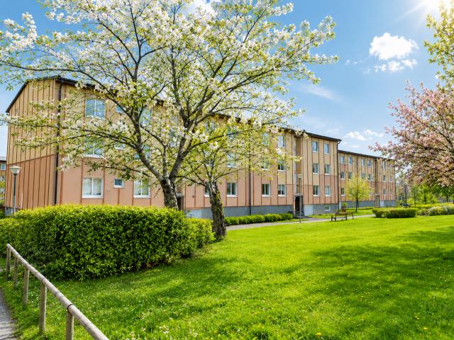 Lägenhet hyra i Örkelljunga, Skåne