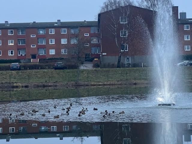 Lägenhet hyra i Perstorp, Skåne