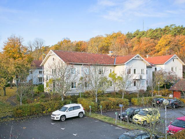 Lägenhet hyra i Halland