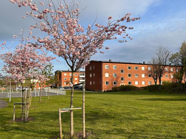 Lägenhet hyra i Simrishamn, Skåne