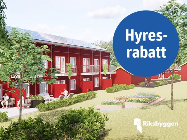Lägenhet hyra i Västerbotten