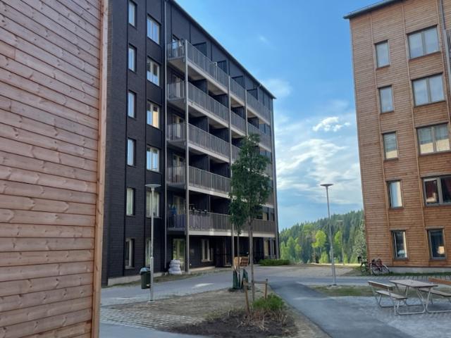 Lägenhet hyra i Skellefteå, Västerbotten