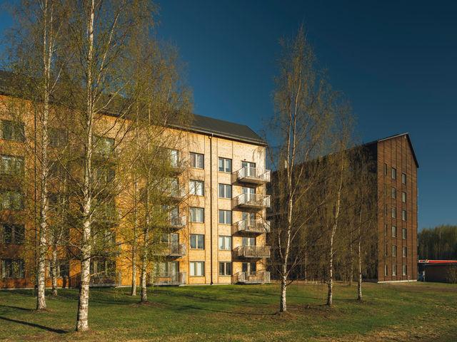 Lägenhet hyra i Skellefteå, Västerbotten