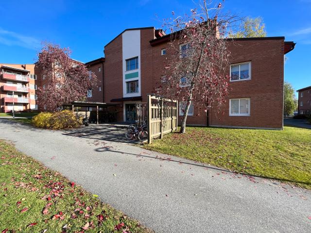 Lägenhet hyra i Skellefteå, Västerbotten