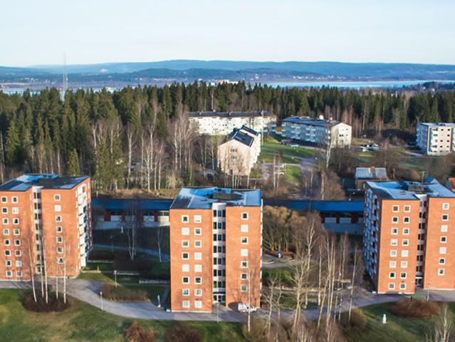 Lägenhet hyra i Sundsvall, Västernorrland