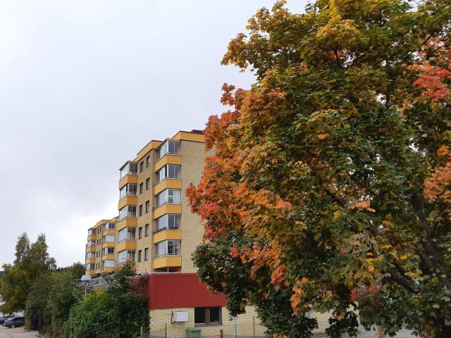 Lägenhet hyra i Timrå, Västernorrland