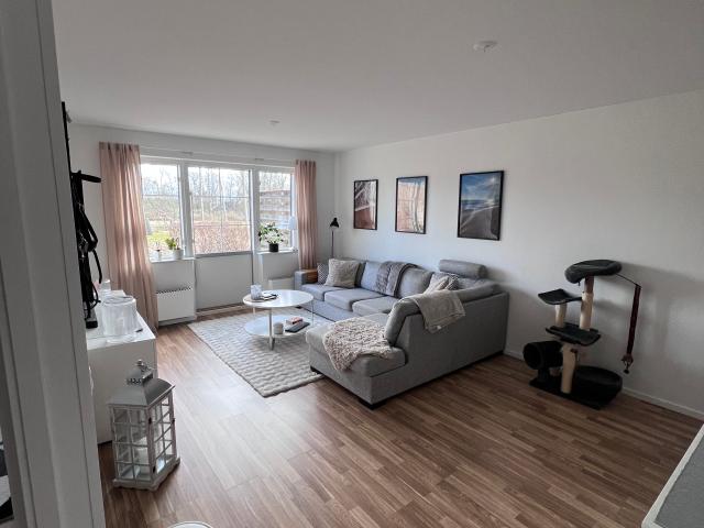 Lägenhet hyra i Skåne