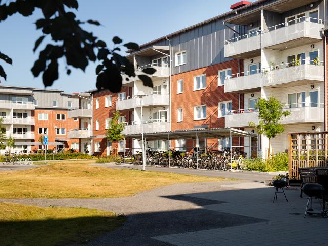 Lägenhet hyra i Umeå, Västerbotten