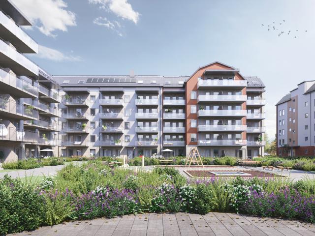 Lägenhet hyra i Umeå, Västerbotten