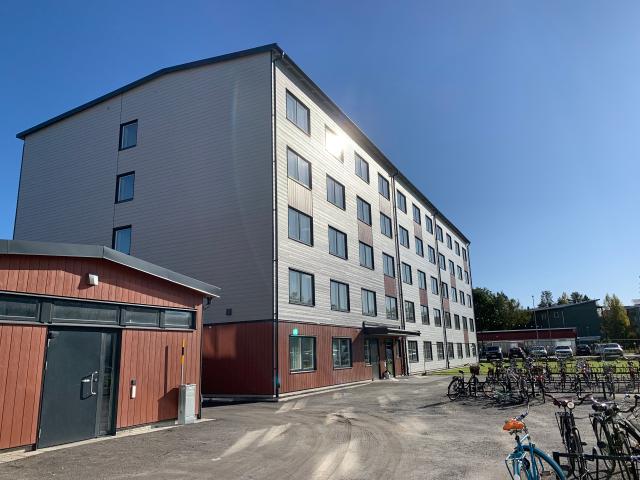 Lägenhet hyra i Umeå, Västerbotten