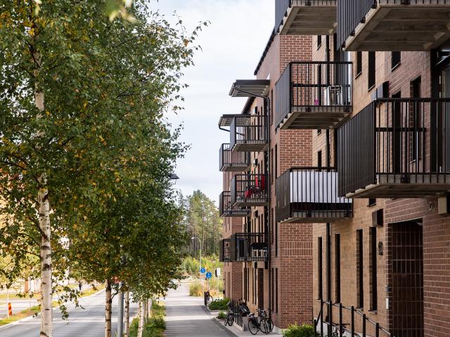 Lägenhet hyra i Umeå, Västerbotten