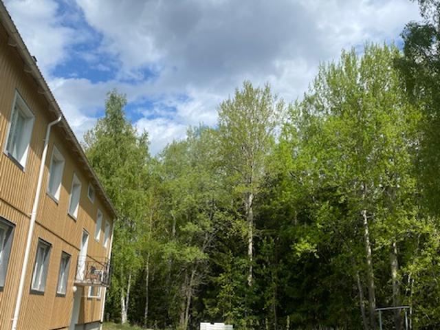 Lägenhet hyra i Gävleborg