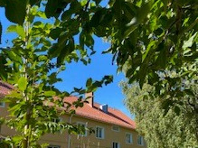 Lägenhet hyra i Gävleborg