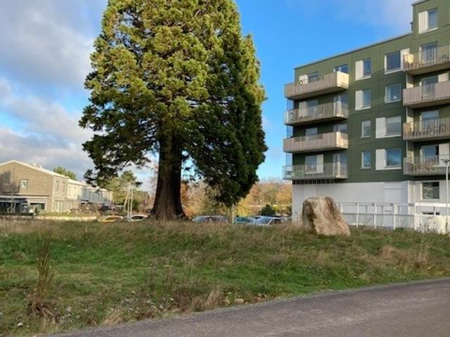 Lägenhet hyra i Ystad, Skåne