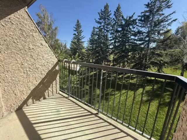 Apartment for rent in Huntington Hills, Calgary