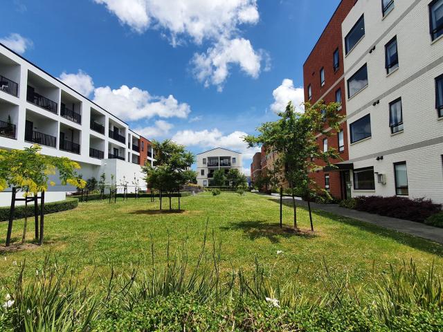 Apartment for rent in Paremoremo, Oroua County