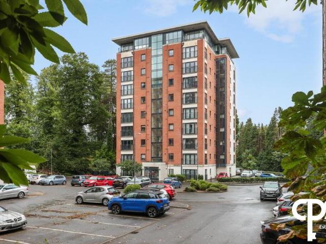 Apartment for rent in Redwood, Lisburn
