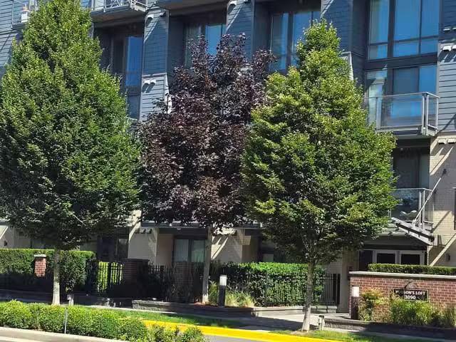 Apartment for rent in Abbotsford, British Columbia