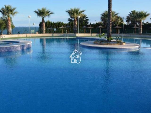 Apartamento en alquiler en Dehesa de Campoamor, el Baix Segura / La Vega Baja