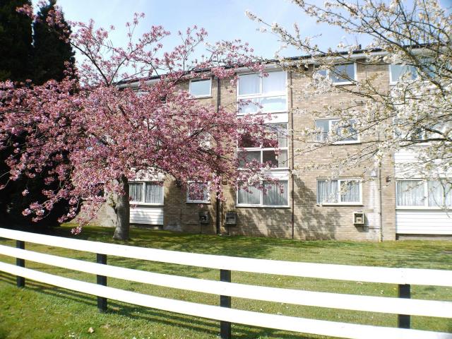 Apartment for rent in Fretherne, Hertfordshire