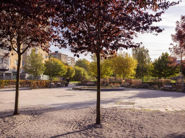 Lägenhet hyra i Malmö, Skåne