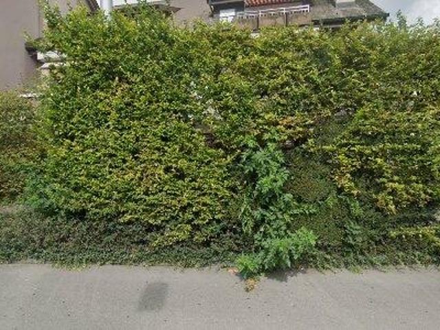 Apartment mieten in Biel, Bern