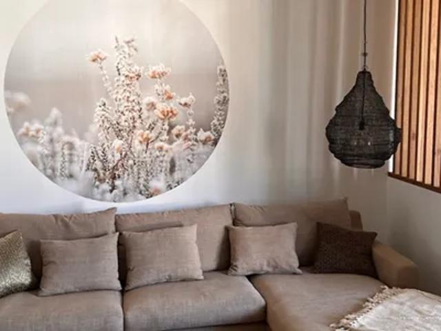 Apartment mieten in Bonn-Castell, Bonn