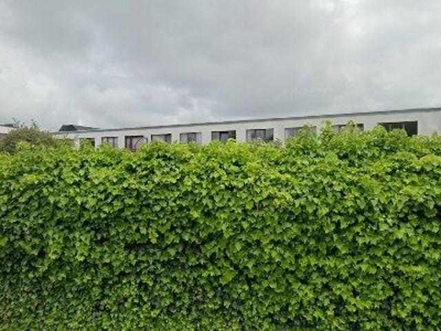 Appartement location à Bredene, West-Vlaanderen