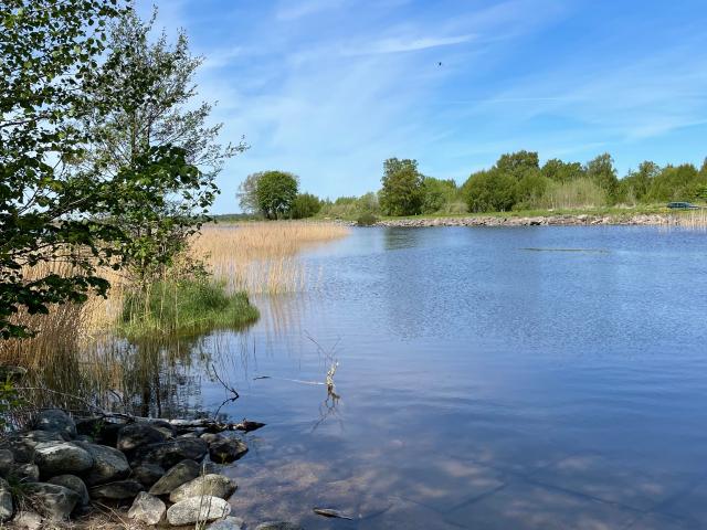 Lägenhet hyra i Bromölla, Skåne