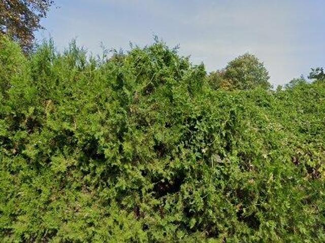 Apartment mieten in Bruck an der Leitha, Niederösterreich