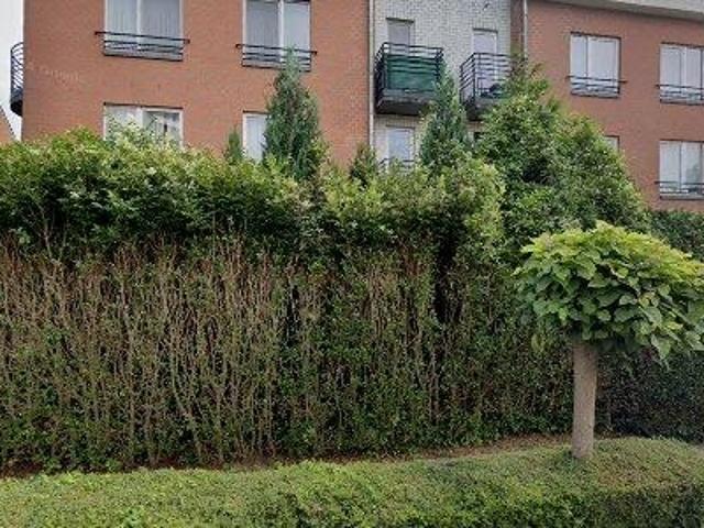 Appartement location à Jette, Bruxelles