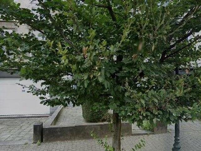 Appartement location à Molem, Bruxelles