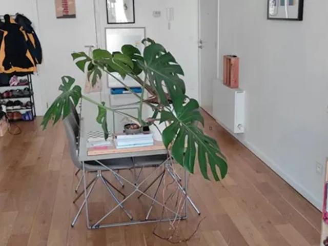 Appartement location à Bi, Bruxelles