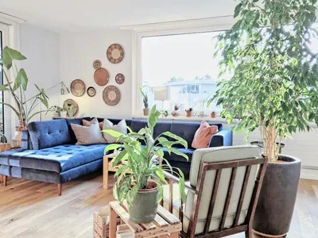 Apartment mieten in Zürich