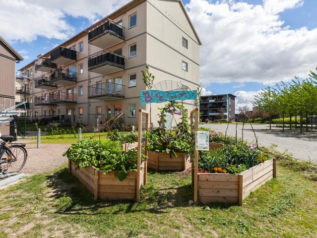 Lägenhet hyra i Bunkeflostrand, Skåne