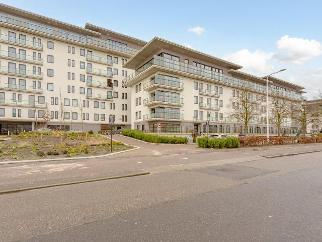 Appartement te huur in The Mayor, Amstelveen