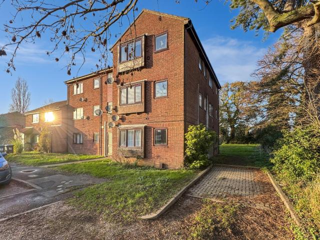 Apartment for rent in Drybridge Hill, Eastbridge