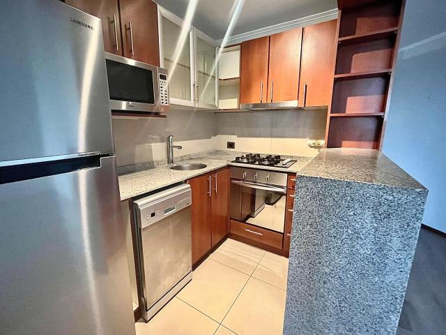 Departamento en arriendo en Cochrane, Aysén Del General Carlos Ibáñez Del Campo