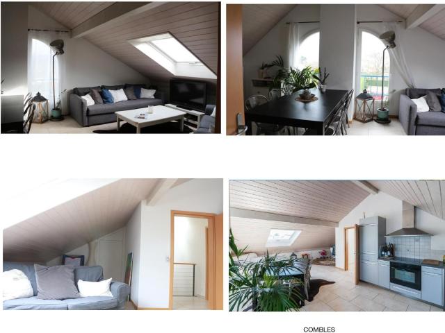 Apartment kaufen