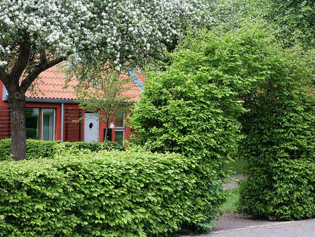 Lägenhet hyra i Eslöv, Skåne
