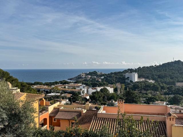 Apartamento en alquiler en Pla de Mallorca, Baleares