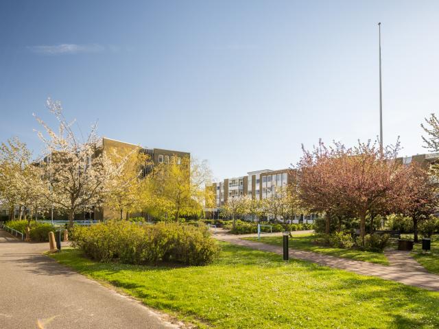 Lägenhet hyra i Malmö, Skåne