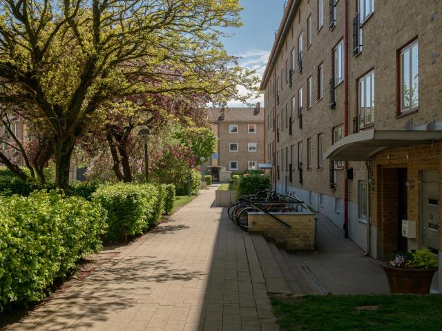 Lägenhet hyra i Malmö, Skåne