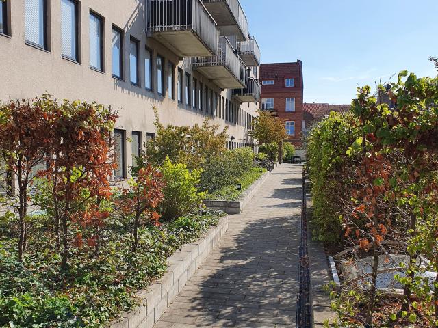Lägenhet hyra i Malmö, Skåne