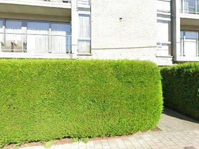 Appartement location à Desteldonk, Oost-Vlaanderen