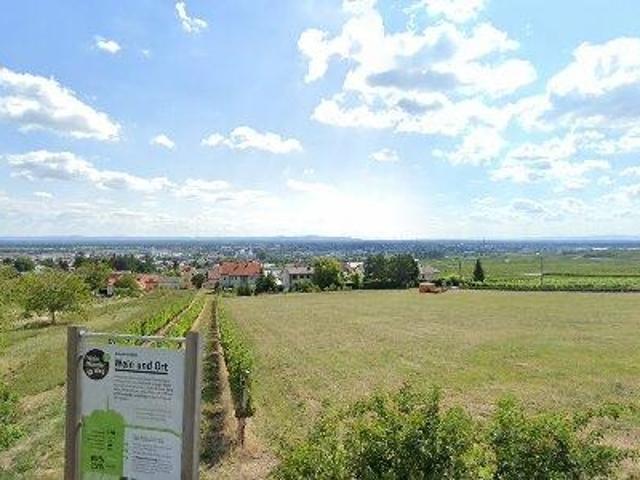 Apartment mieten in Gumpoldskirchen, Niederösterreich