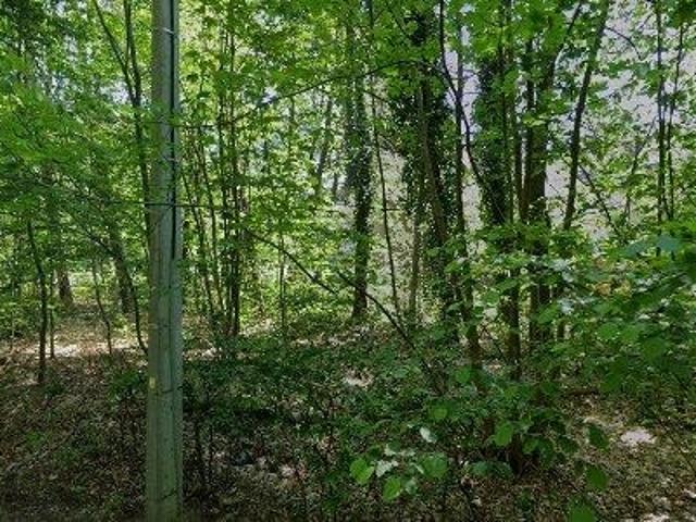 Appartement location à Halle, Brabant